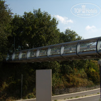 фото из отзыва ID 431796