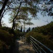 фото из отзыва ID 431796