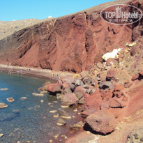 фото из отзыва ID 432091