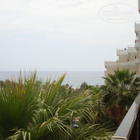 фото из отзыва ID 432110