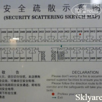 фото из отзыва ID 432111