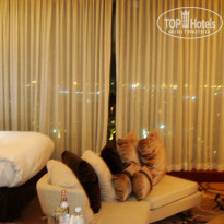 фото из отзыва ID 432139