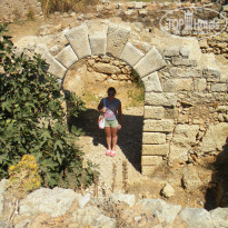 фото из отзыва ID 432540