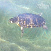 фото из отзыва ID 432540