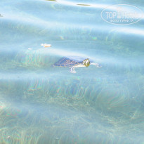 фото из отзыва ID 432540