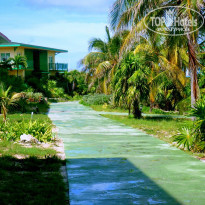 фото из отзыва ID 432554