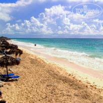 фото из отзыва ID 432554