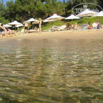 фото из отзыва ID 432328