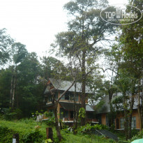 фото из отзыва ID 432776