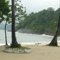 фото из отзыва ID 432780