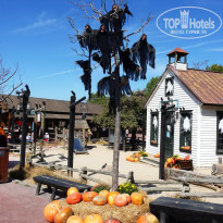 фото из отзыва ID 432863