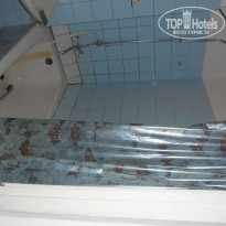 фото из отзыва ID 432909