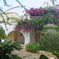 фото из отзыва ID 432878