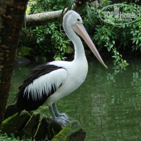 фото из отзыва ID 433900