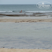 фото из отзыва ID 433900