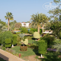 фото из отзыва ID 433099