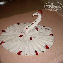 фото из отзыва ID 433745