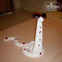 фото из отзыва ID 433745