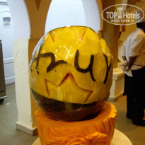 фото из отзыва ID 433745