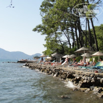 фото из отзыва ID 433014