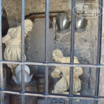 фото из отзыва ID 433317