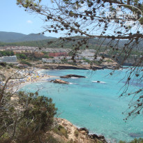 фото из отзыва ID 433317