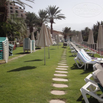 фото из отзыва ID 433331