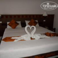 фото из отзыва ID 433347