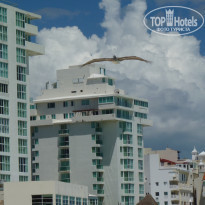 фото из отзыва ID 433471