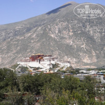 фото из отзыва ID 433577