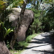 фото из отзыва ID 433592