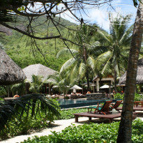 фото из отзыва ID 433592