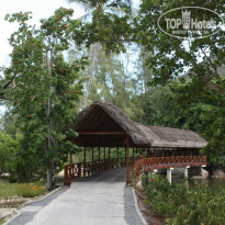 фото из отзыва ID 433592