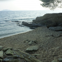 фото из отзыва ID 434371