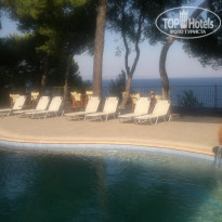 фото из отзыва ID 434882