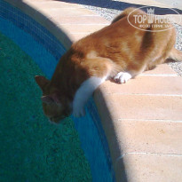 фото из отзыва ID 434882