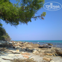 фото из отзыва ID 434882