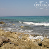 фото из отзыва ID 434882