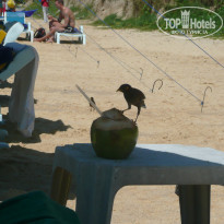 фото из отзыва ID 434890