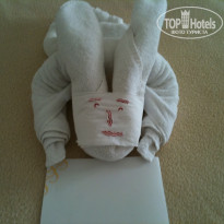 фото из отзыва ID 434906