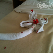 фото из отзыва ID 434906