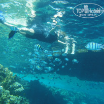 фото из отзыва ID 434937