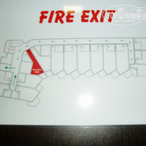 фото из отзыва ID 434688