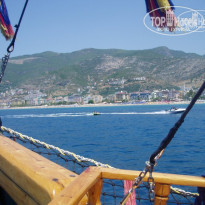 фото из отзыва ID 434688