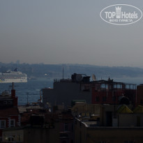 фото из отзыва ID 43516