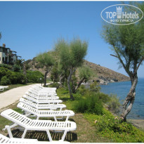 фото из отзыва ID 43571