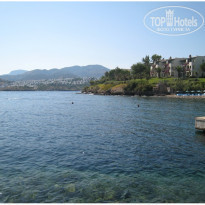 фото из отзыва ID 43571