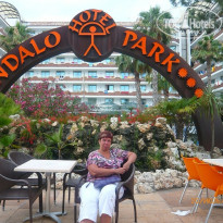 фото из отзыва ID 435981