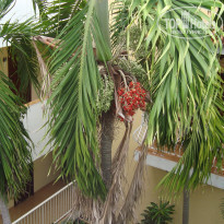 фото из отзыва ID 435304