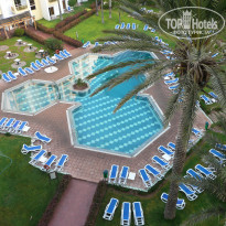 фото из отзыва ID 435377